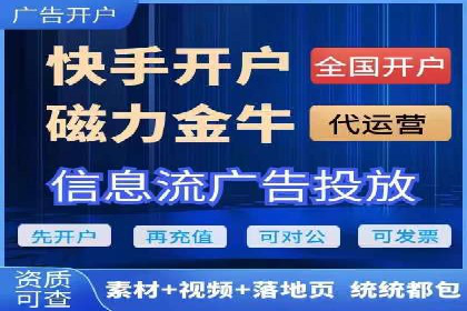 竞价广告与自然搜索的结合策略：XX网站的案例分析